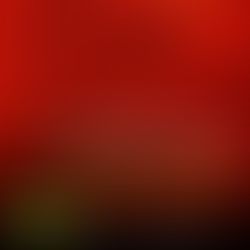 CHINA, DESENVOLVIMENTO ECONÔMICO E O NOVO PLANO QUINQUIENAL