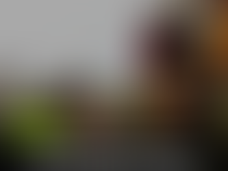 "QUERO BANHAR'ME COM TEU SANGUE" : MIANMAR E O GENOCÍDIO ROHINGYA