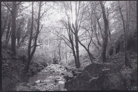 pic 2.jpg