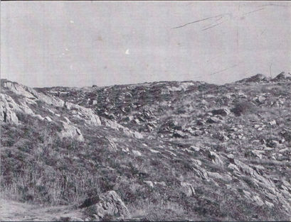 pic 7.jpg