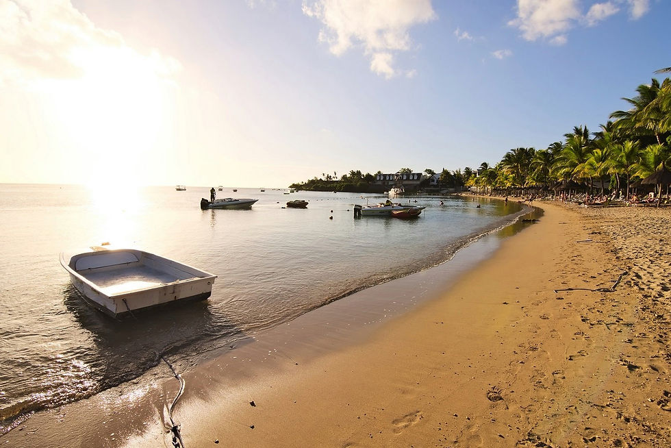 Hôtel Ravenala Attitude