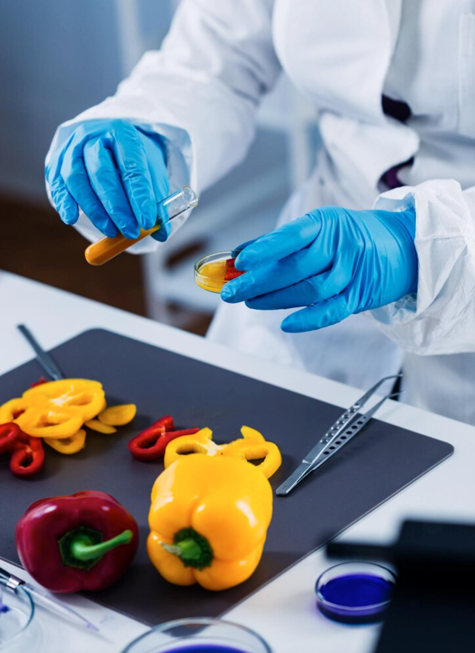 food safety
