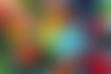 Keeping Those Bugs at Bay