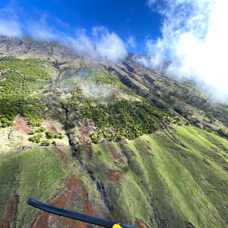 Aerial of project site
