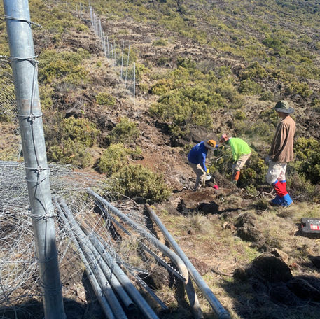 Crew repairing fenceline