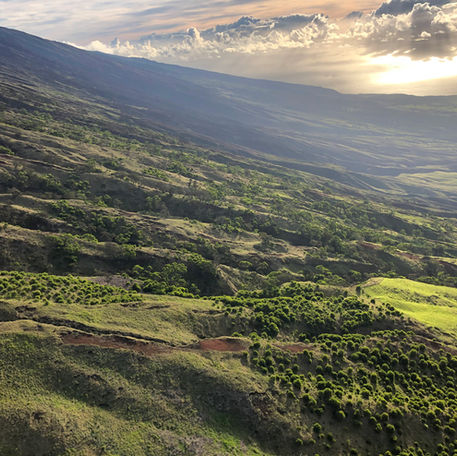 Sun setting over leeward Haleakalā