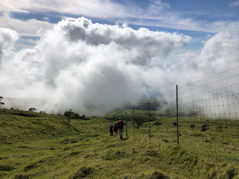 Crew walking fenceline