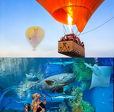 Hot Air + AQUARIUM 3.png