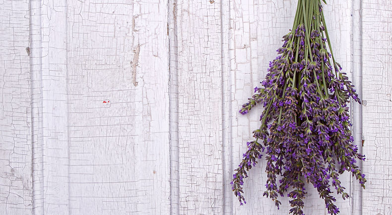 Lavender Door.jpeg
