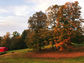 Fall on the Lavender Farm