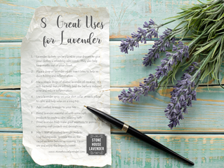 More Uses of Lavender