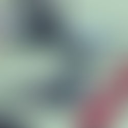 Cape Cod Canal Region Chamber of Commerce advocates for choice in Internet service