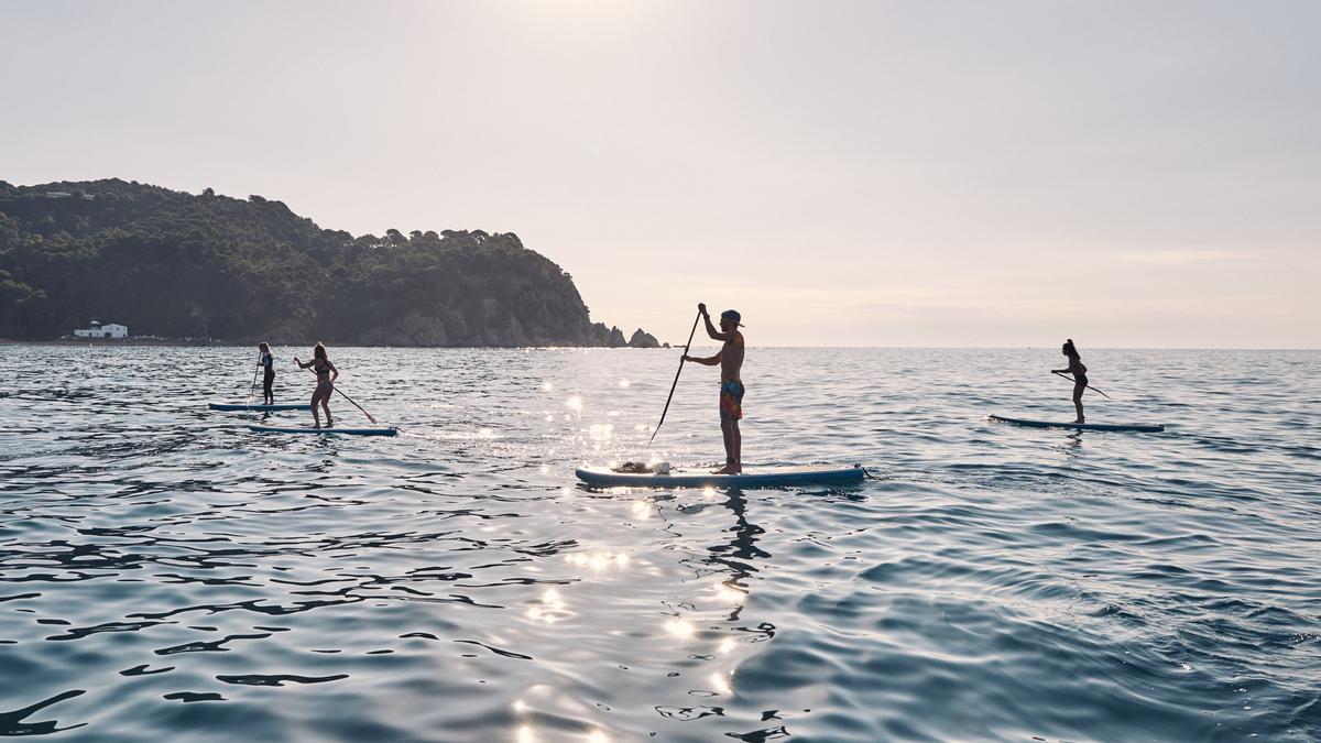 Paddle Surf
