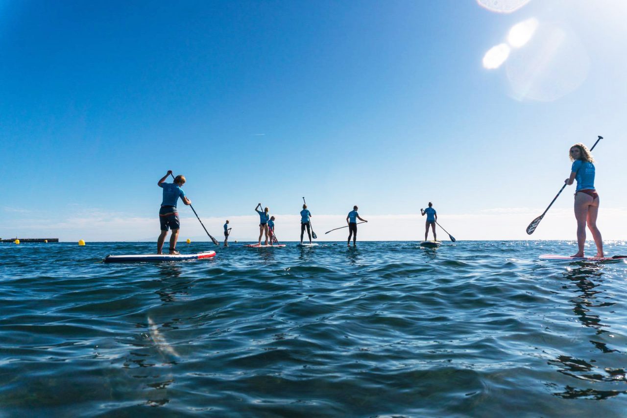 Paddle Surf