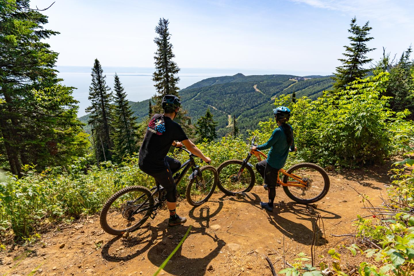 Bici de montaña