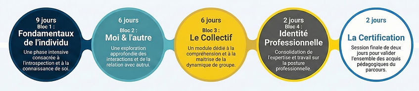 Blocs de compétences ECMH_edited.jpg