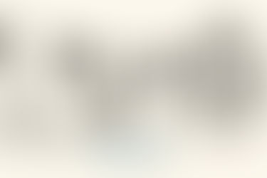 EXECUTIVE CERTIFICATE MANAGER DE L'HUMAIN