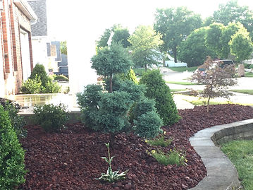 Landscape Design