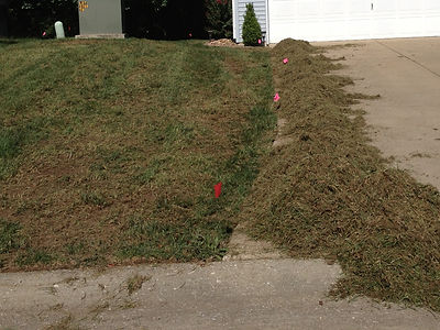 Dethatching, Turf Renovation