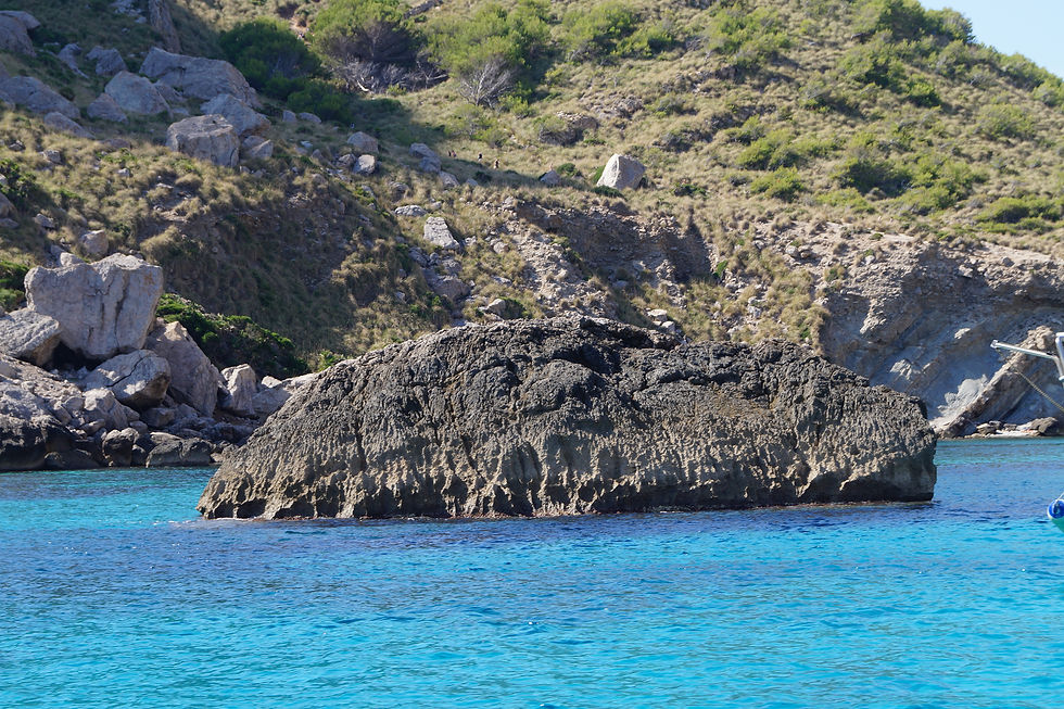 CALA FIGUERADSC04181