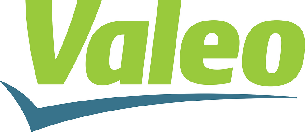 valeo logo white bck
