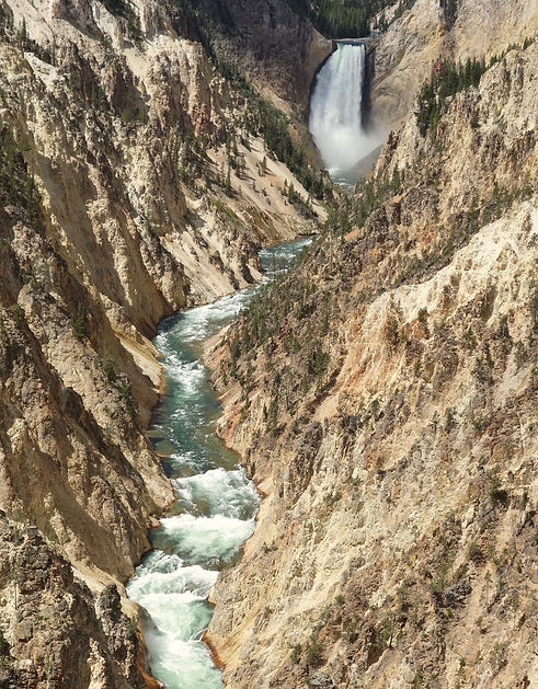YellowstoneFalls_RoadrunnerExpeditions.j