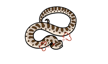 angrynoodle2.png