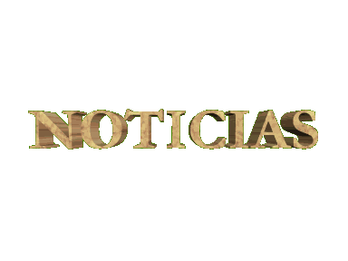 Noticias - Social TV - A sua Televisão Online / Carlos Martins Group