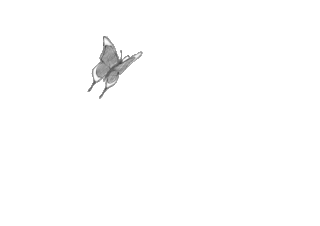 0ceced240b8704db69a2da15dc9b1541.gif