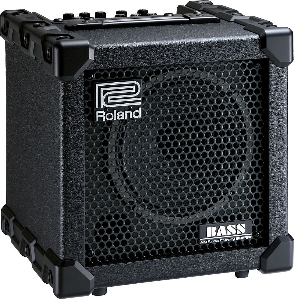 ROLAND 20XL BASS CUBE | mmsmusic