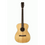 Thumbnail: TASMAN TA200O-E OM ACOUSTIC ELECTRIC W/CASE