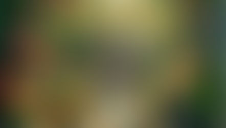 Conrad Manila Unveils a “Magical World of Wonder” this Easter