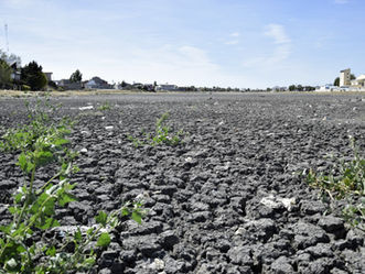 Humedales: sistemas que sostienen la vida amenazados por el cambio climático.