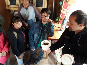Promotores ambientales en acción