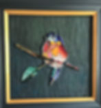 Paradiesvogel