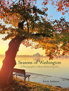 2026BookCover website.jpg