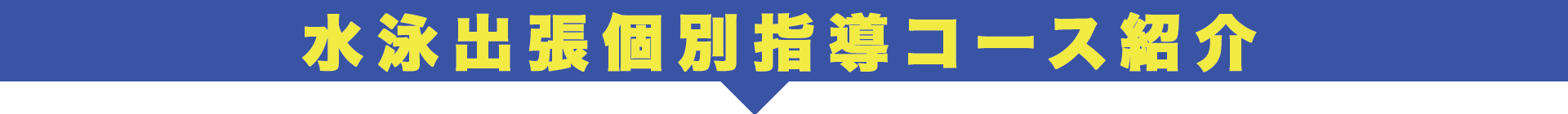 水泳出張個別指導コース紹介.gif