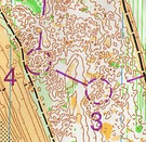Neborough Forest - Eryri Orienteering
