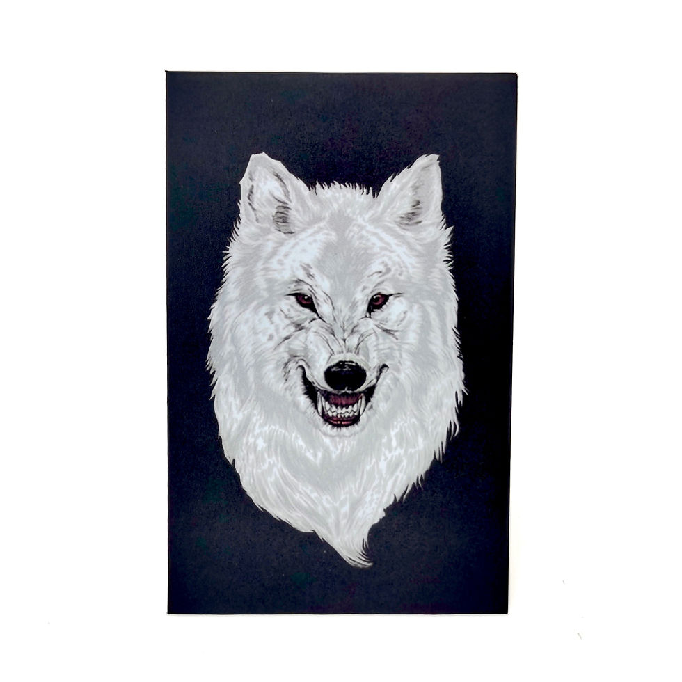 Thumbnail: Direwolf Oil Wax Extract Coin Envelopes 2.25" X 3.5" |  (300 Pack)
