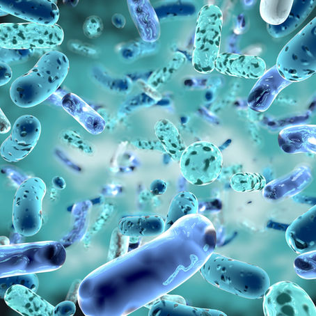 What Are The Benefits From Probiotic Yogurt Bites You May Not Know?