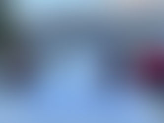 Goiot s'engage aux côtés de Léz'arts Marins