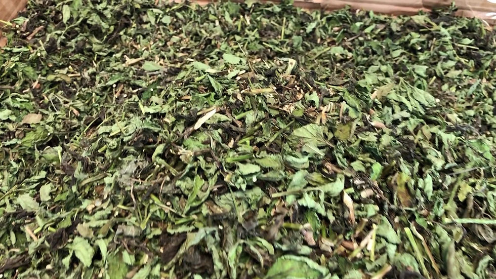 Thumbnail: Blue Vervain Herb (Cut & sifted