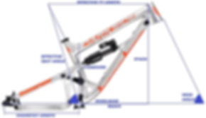 image-asset(2).jpeg