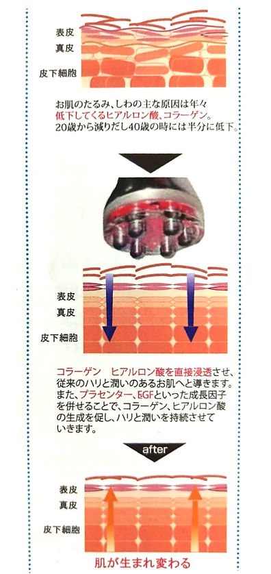 Nature　ナチュール 、エイジングケア、　シミケア　シワタルミケア、小顔、リンパオイルマッサージ、ヘッドマッサージ、尼崎、武庫之荘、兵庫県、尼崎市、伊丹市、西宮市、塚口、西宮北口