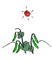m64.gif
