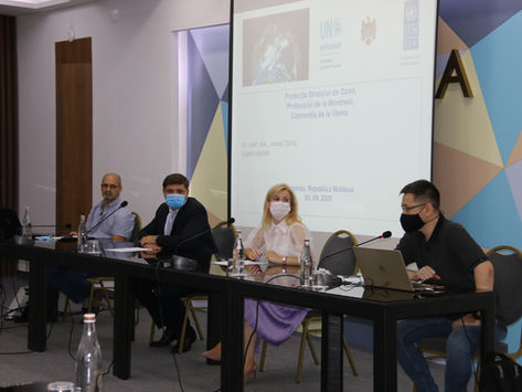 Substanțe care distrug stratul de ozon (SDO) - seminar de instruire