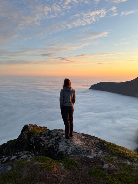 Lofoten car camping