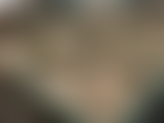 סדנאות ריגוש וריגוש באמצעות לחימה על כוחות מאוחדים