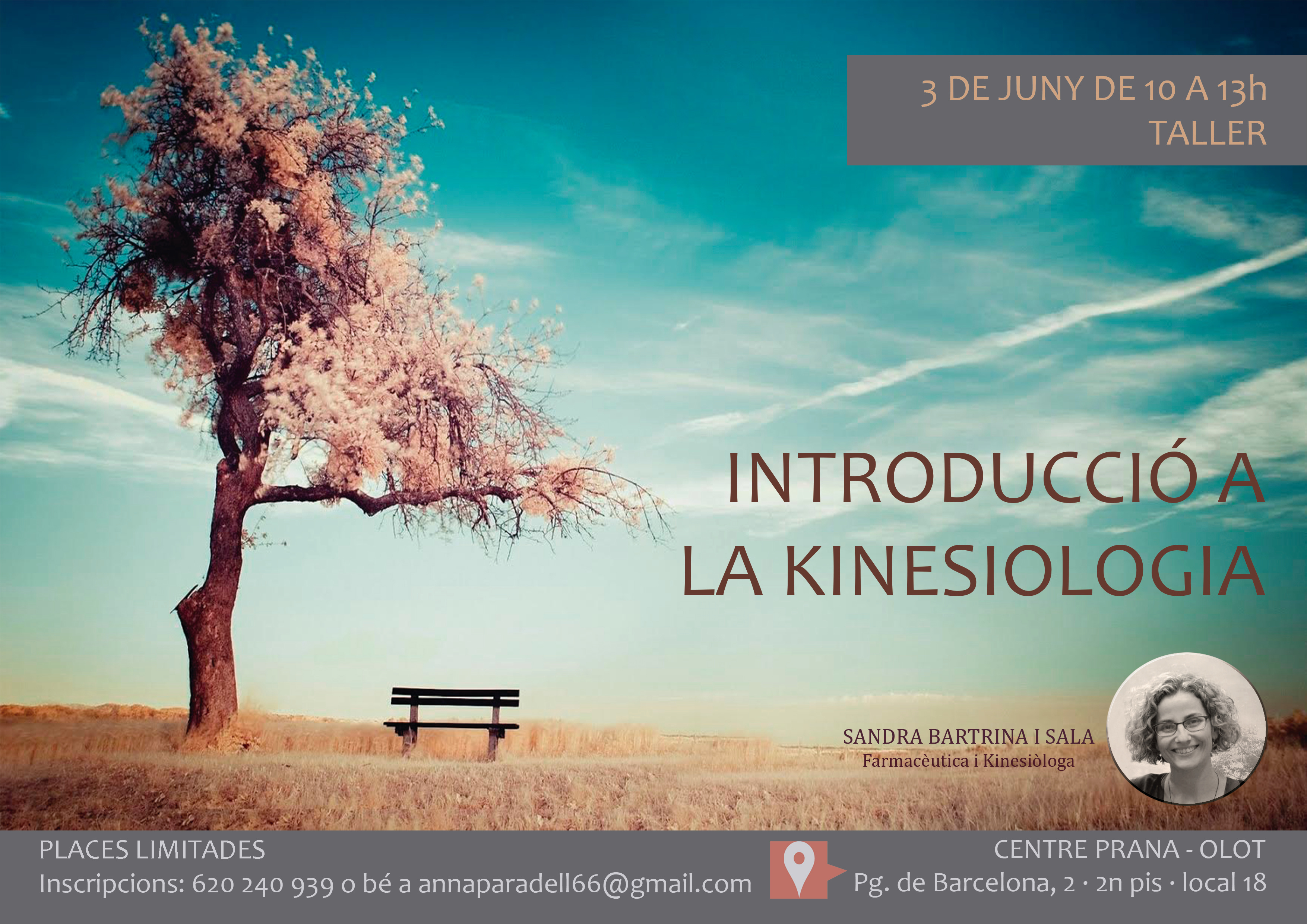 Introducció a la Kinesiologia