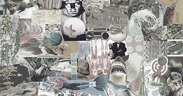 EH website collage-low saturation-smaller-middle.jpg